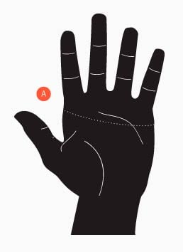 Handsker---damer-og-herrer