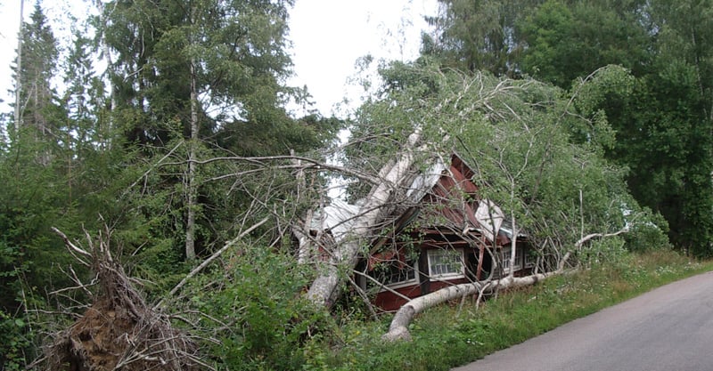 Mast hus