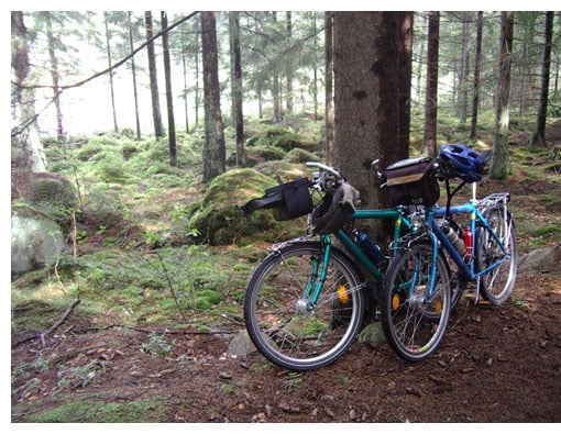 Cykler i skoven