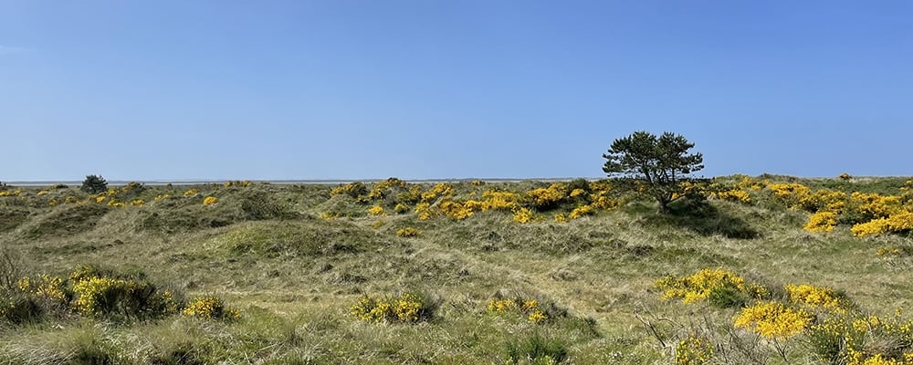 blog_se_unescos_verdensarv_pa_vandreturen_i_danmark2
