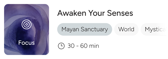 Focus - Awaken Your Senses