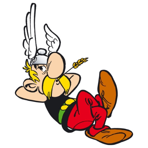 asterix/bloc_5