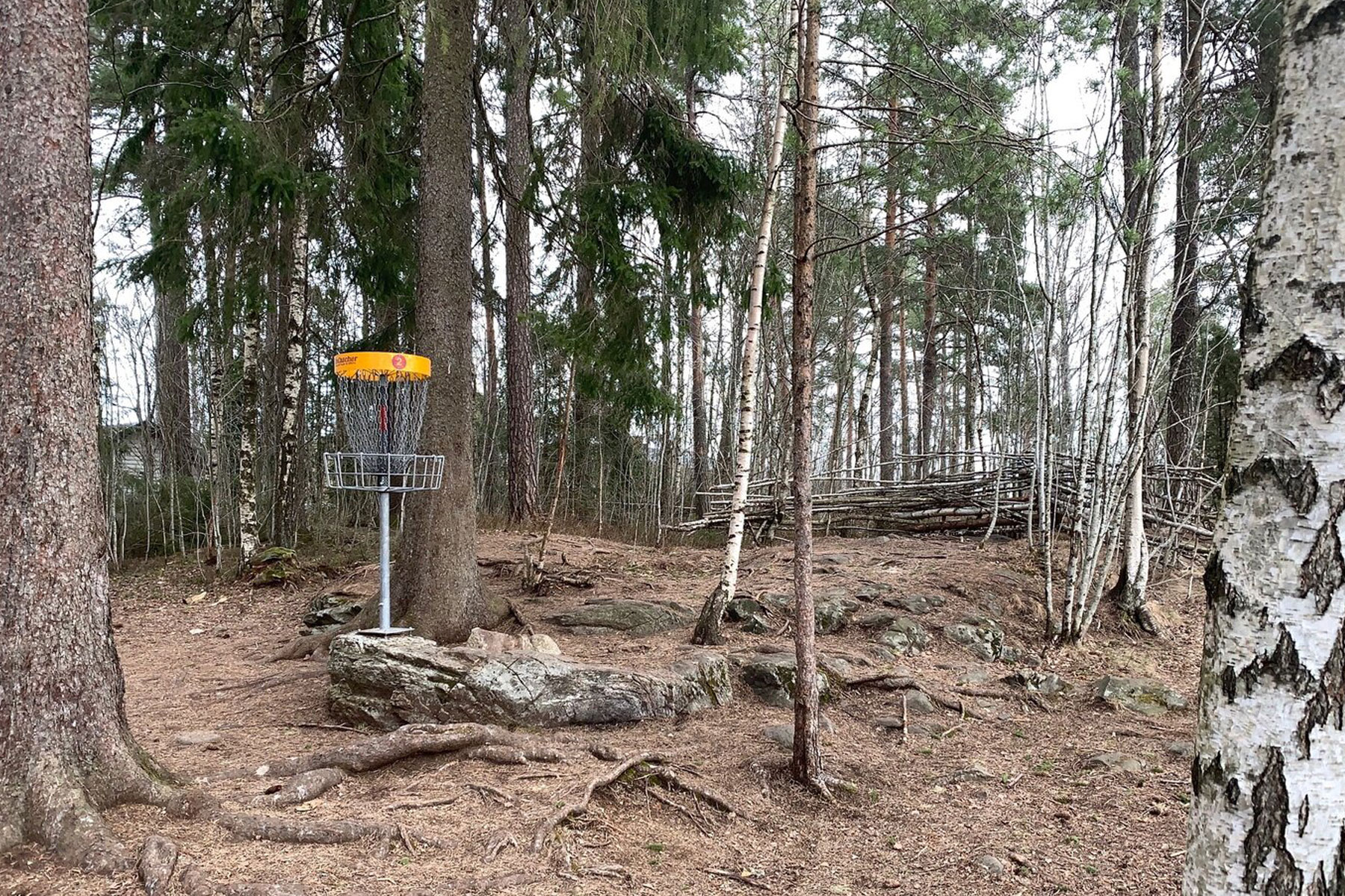 News-and-Events/Lorenskog_Frisbeegolf