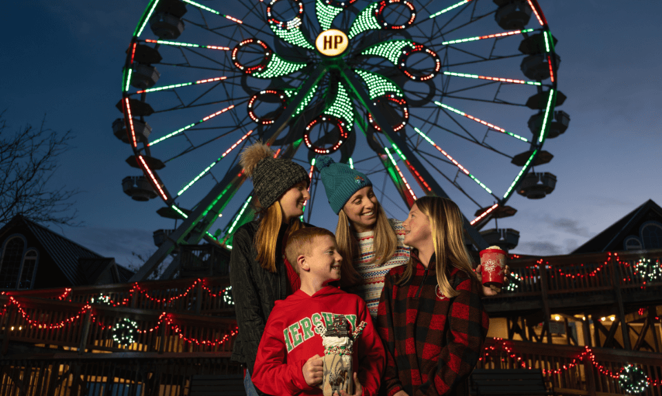 family-in-front-of-ferris-wheel-lit-up-for-christmas.png