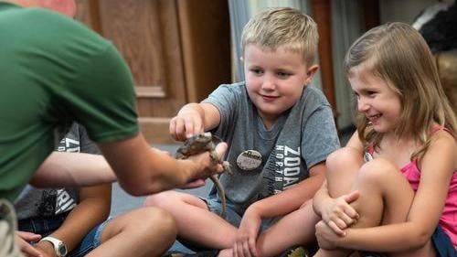 22.Zoo.Camp.Children.Encounter.Lizard.Petting-(2).jpg
