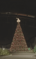 112425_KissmasTreeCandymonium.gif