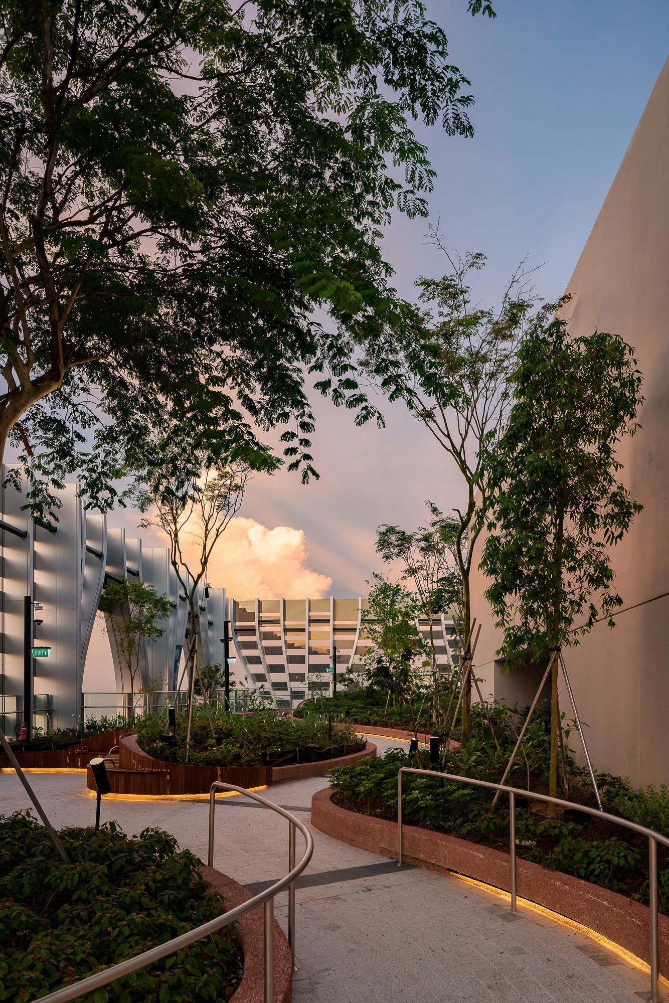 Jardin sur le toit luxuriant avec sentiers et arbres sous un ciel de coucher de soleil et une architecture moderne.