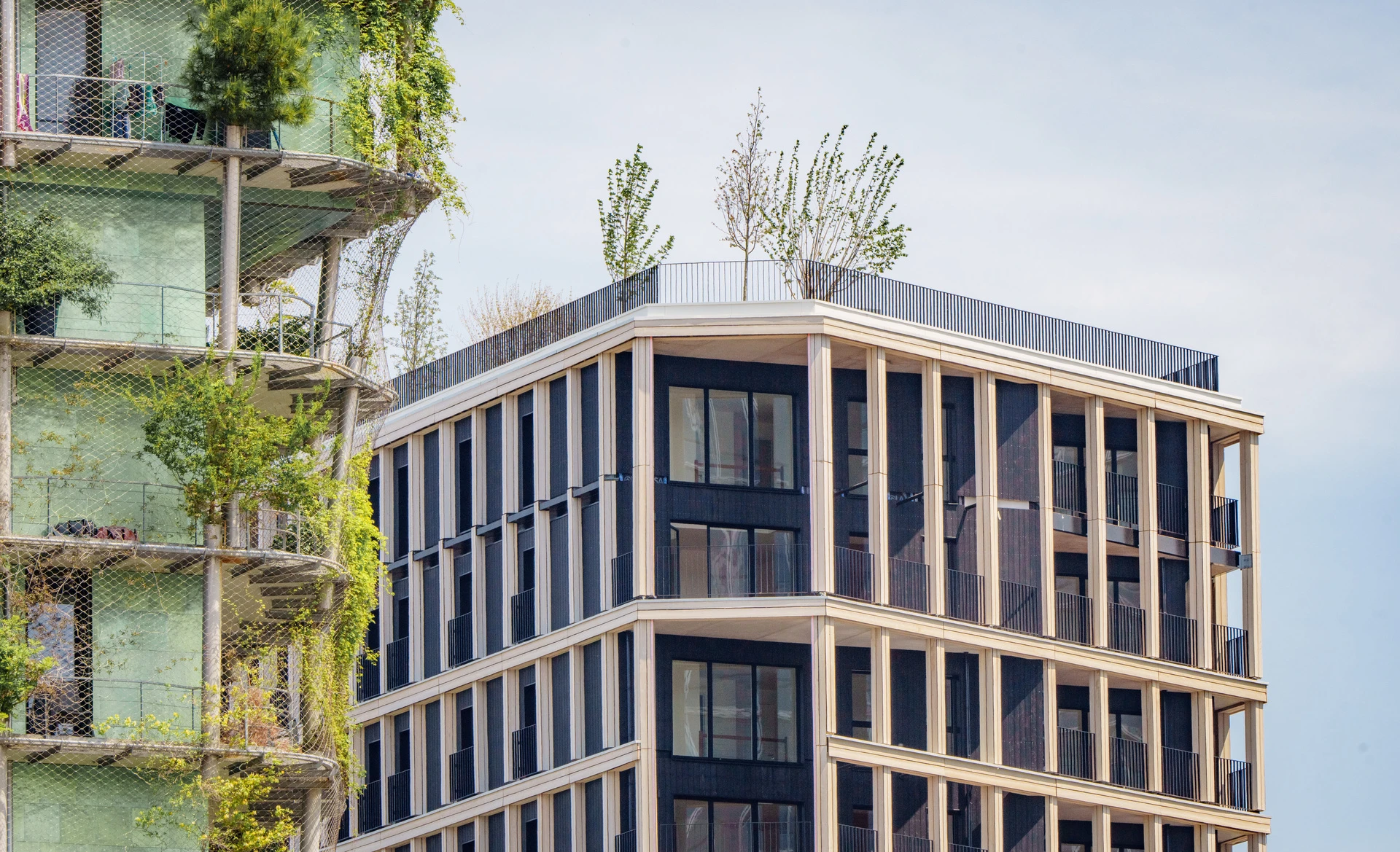 Deux bâtiments modernes se dressent sous un ciel clair; celui de gauche est un "immeuble vert" aux balcons arrondis recouverts de végétation luxuriante et de filets, tandis que celui de droite présente une façade structurée avec des panneaux sombres encadrés de poutres claires et des arbres sur son toit.