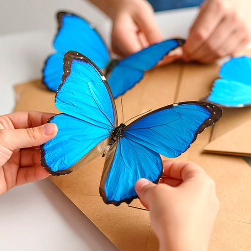 _bloclisticle_500x500_grandplace_atelierskids_papillon.jpg