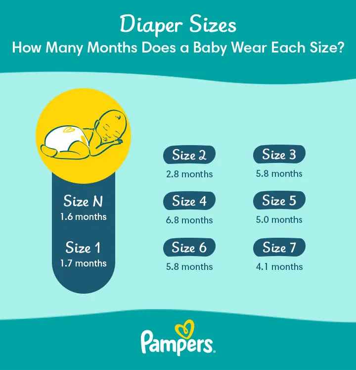 Diaper size