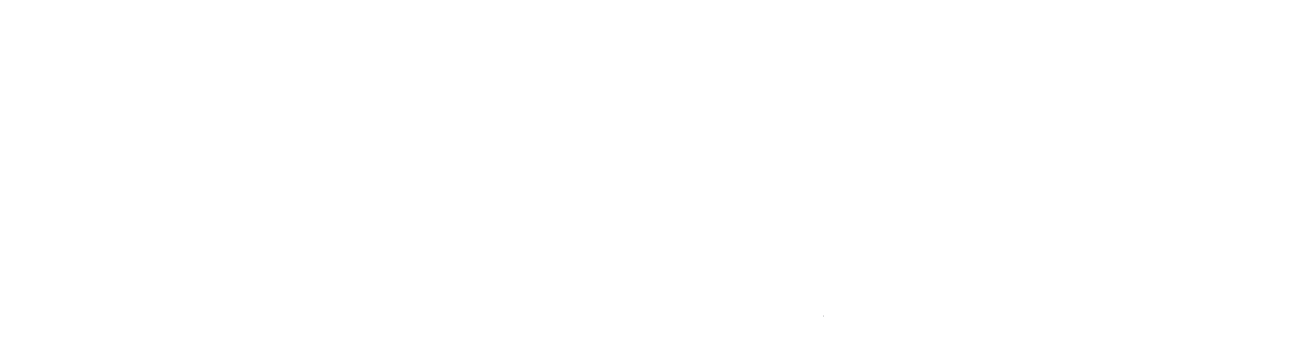 Speed Triple logo