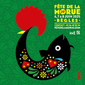 25-FDM-FB-Profil-170x170px.jpg