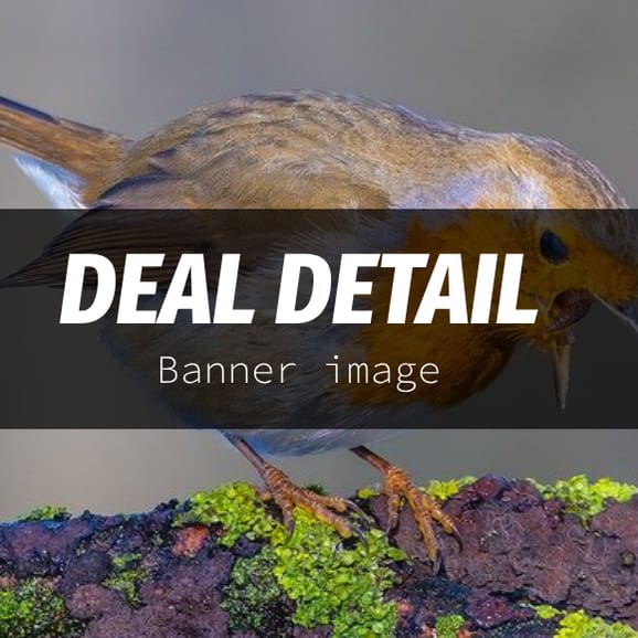 DEAL-DETAIL-BANNER-LARGE-DESKTOP_FULL_TILE_578x578