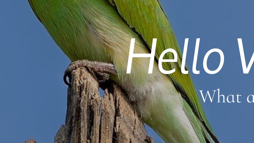 templatembobile_Carousel Tablet Image_884x497