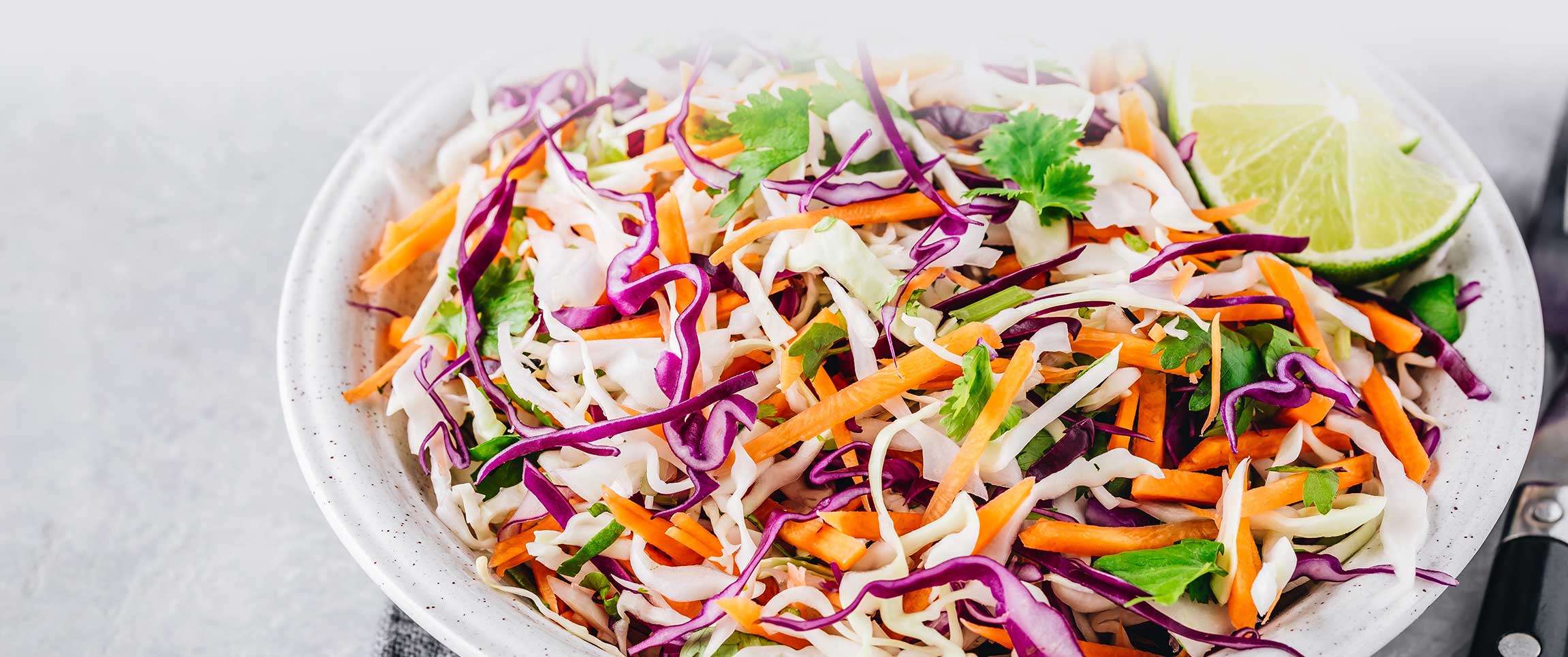 Hero - Full Width/performancefoodservice-recipes-ColeSlaw-herofull