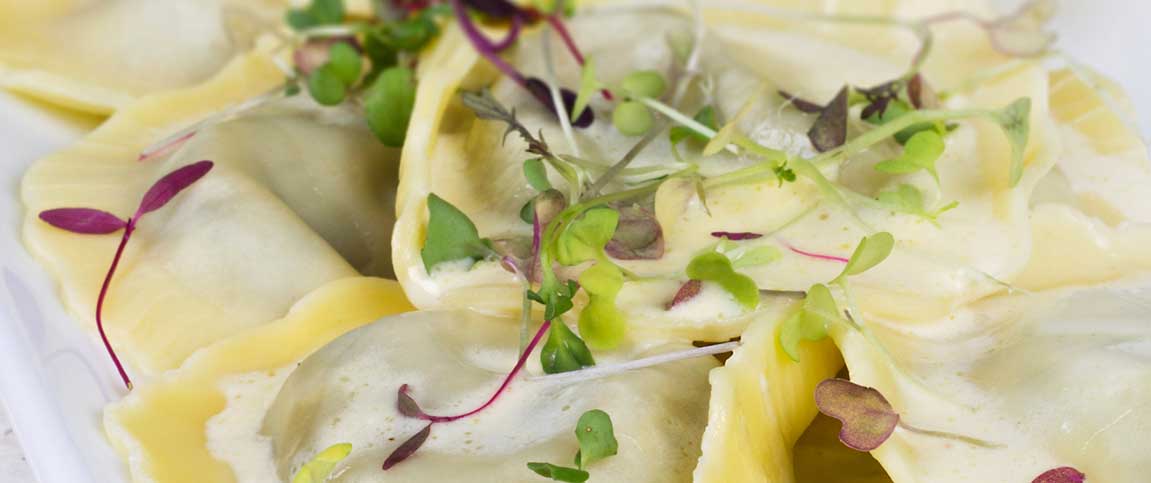 Hero - Full Width/performancefoodservice-Recipes-MUSHROOM_RAV_GARLIC_CRM_SAUCE-heroFull