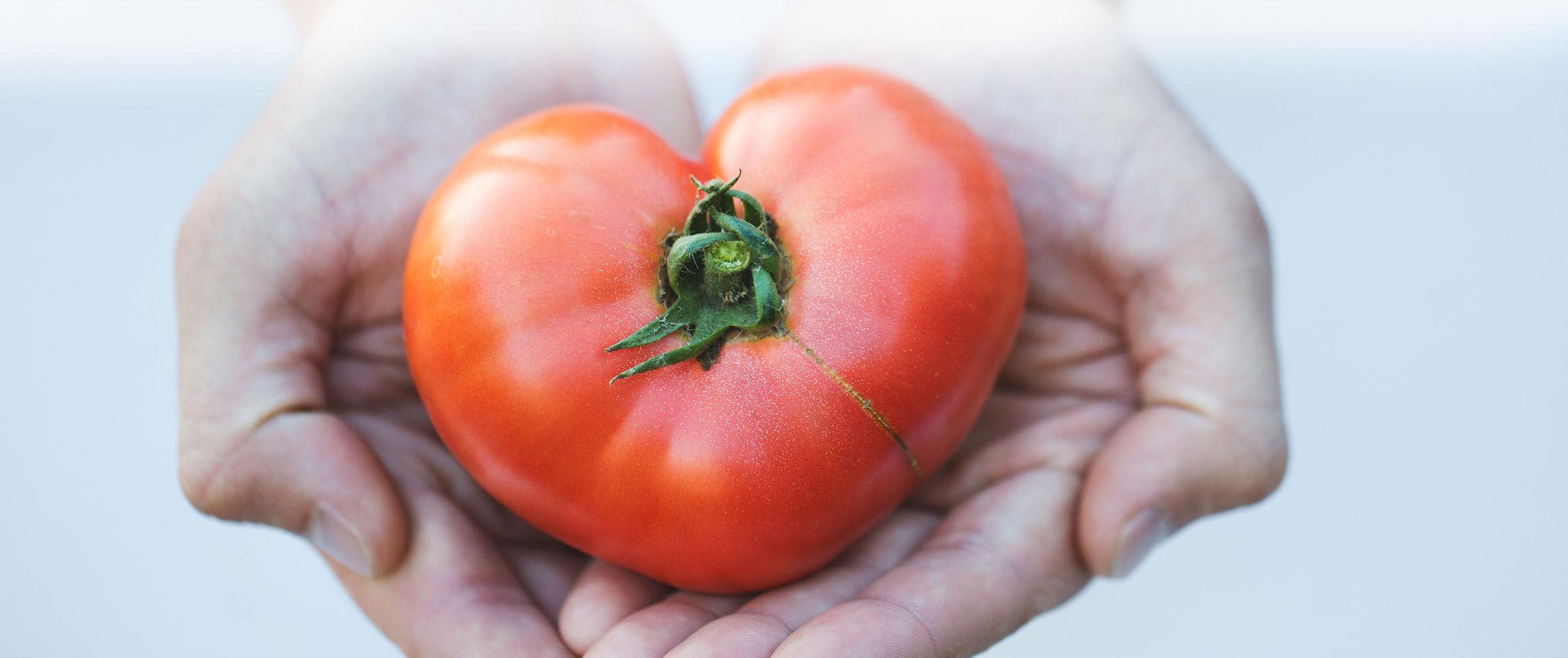 Articles/performancefoodservice-GetInspired-CharitableGiving-heroFull