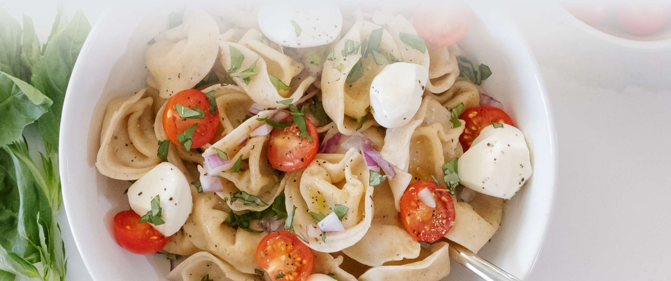 HeroFull/Performancefoodservice-NewInStock-Roma_Four_Cheese_Tortelloni-herofull