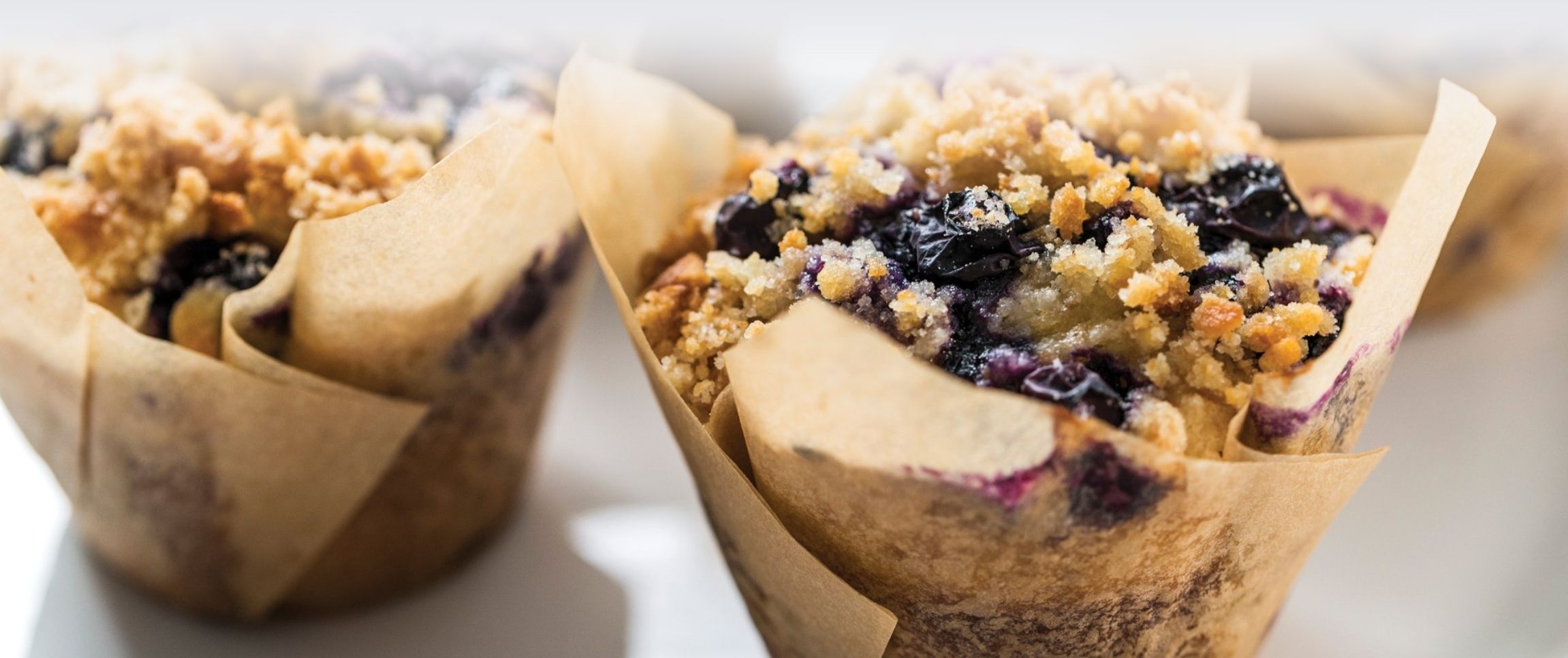 Hero - Full Width/performancefoodservice-Recipes-Blueberry-Lemon_Crunch_Muffins-HeroFull