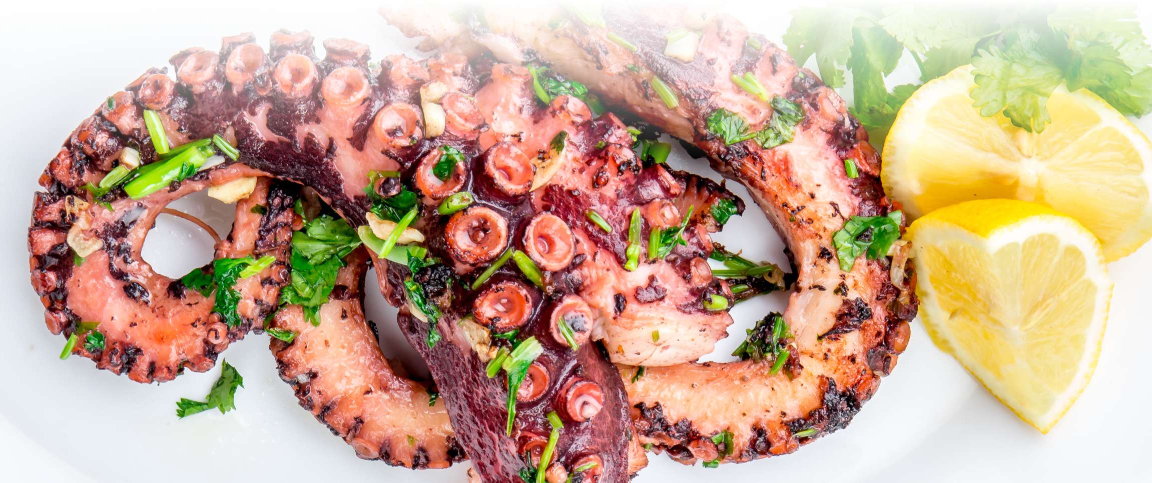 HeroFull/Performancefoodservice-NewInStock-Bay_Winds_Spanish_Octopus-herofull