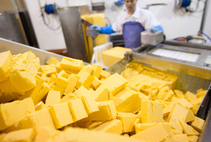 Whats New/performancefoodservice-WhatsNew-Cheese-Processing_PizzaAndItalian