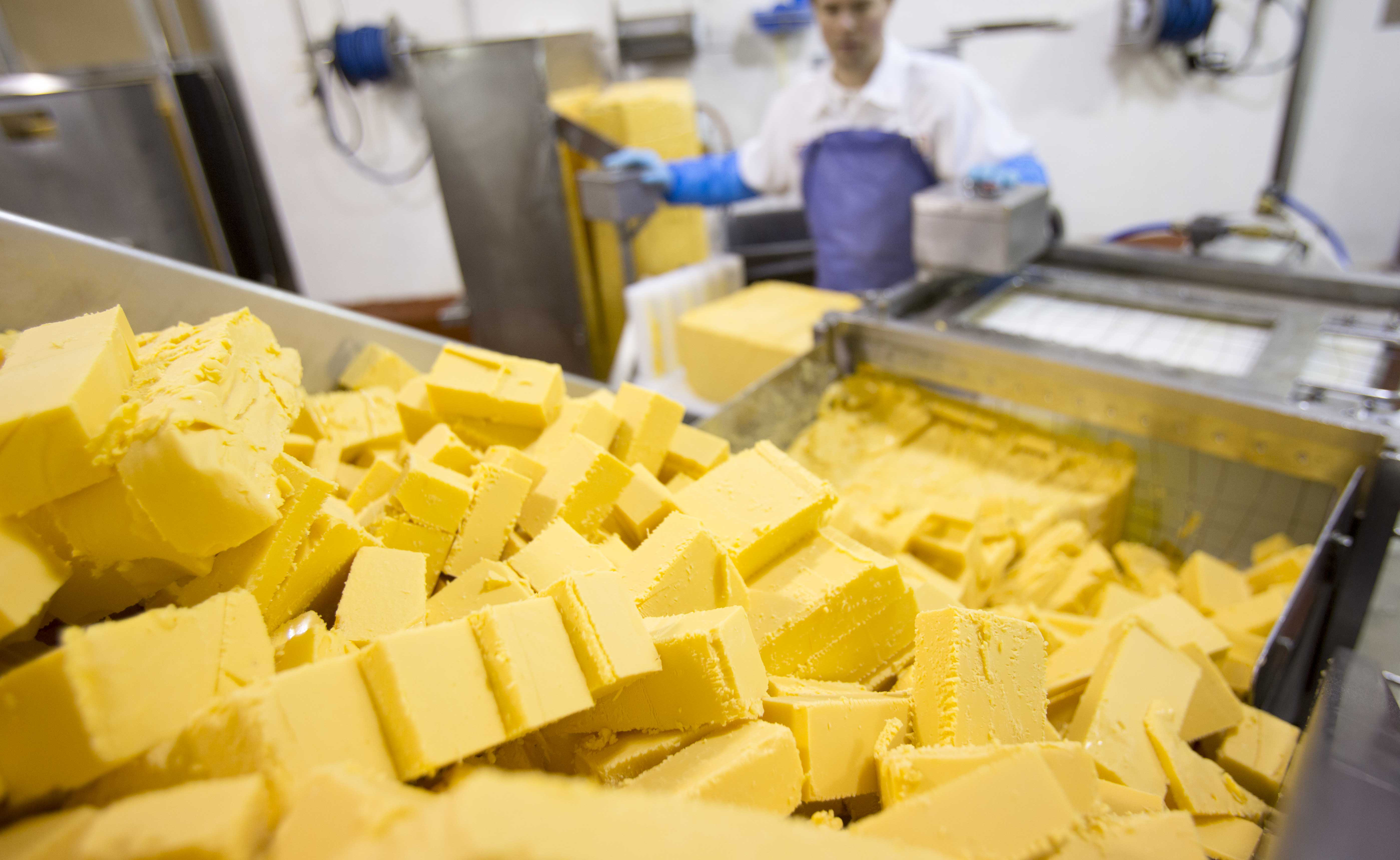 Education/performancefoodservice-customsolutions-cheeseprocessing-hd