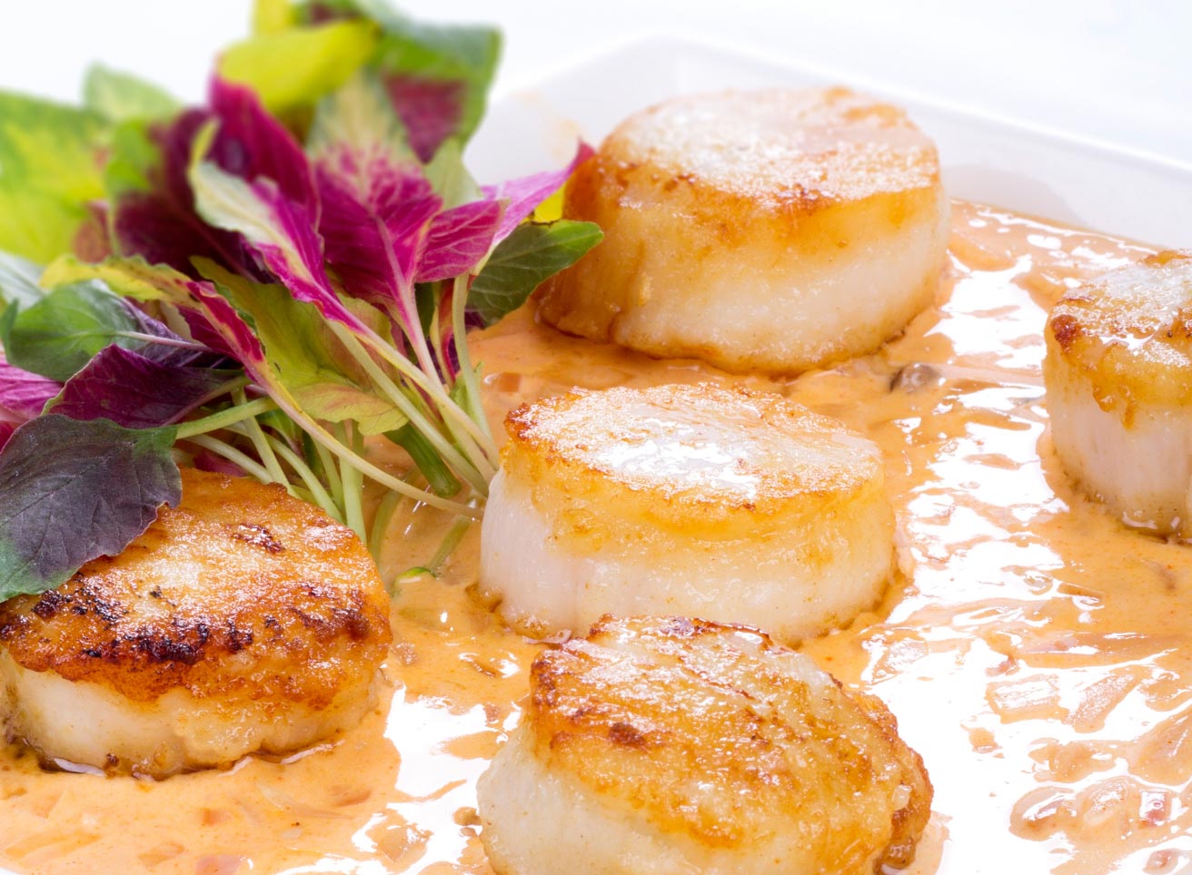 Hero - Half Width/performancefoodservice-Recipes-BW_SCALLOPS_PROVENCAL-heroHalf