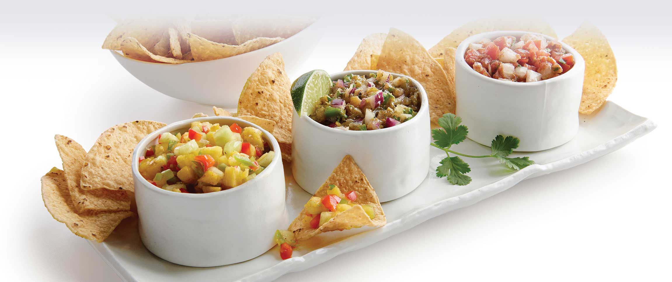 Hero - Full Width/performancefoodservice-recipes-Minors-SalsaSampler-herofull
