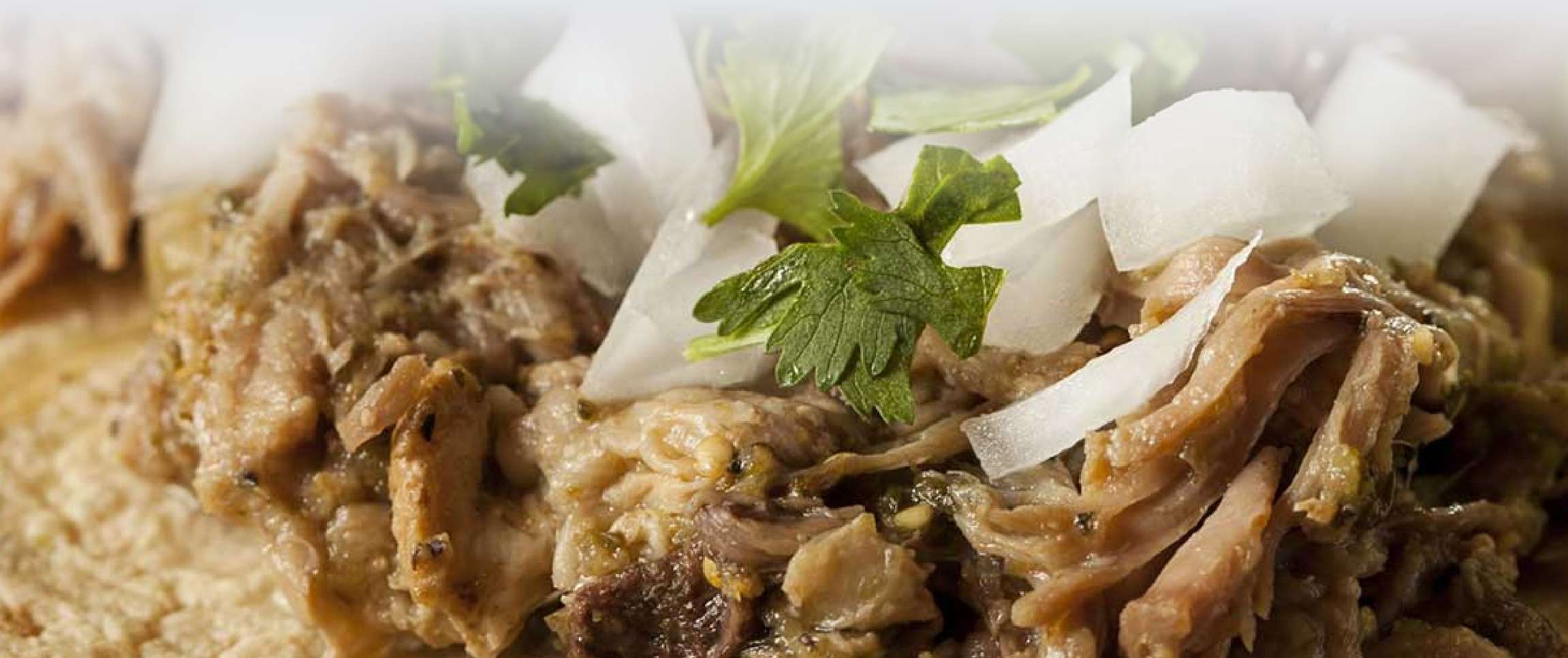 Hero - Full Width/performancefoodservice-Recipes-CARNITAS-heroFull