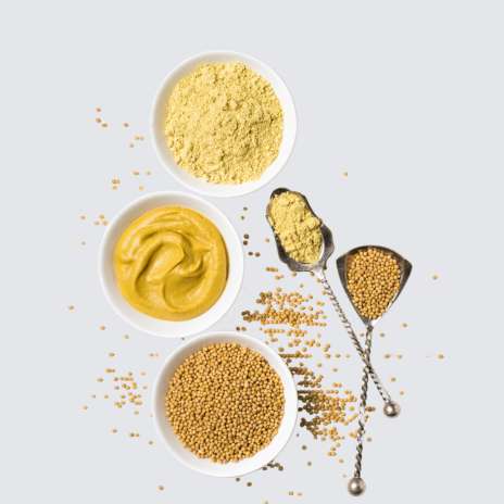 Grid Images/performancefoodservice-Magellan_Seasoning-Tangy_Mustard
