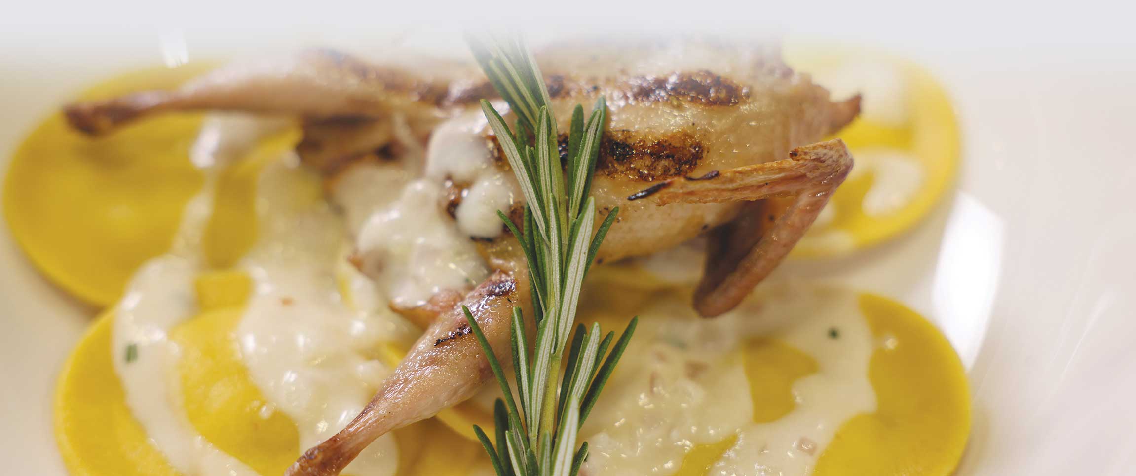 Hero - Full Width/performancefoodservice-recipes-GrilledQuailoverButternutSquashRavioli-herofull