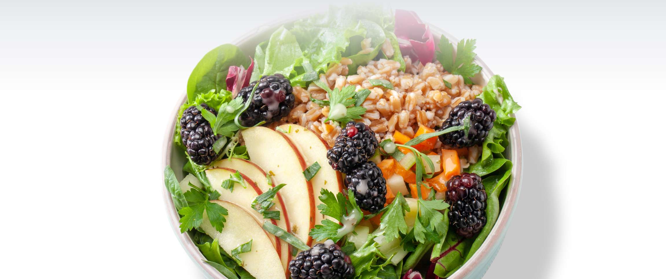 Hero - Full Width/Performancefoodservice-Recipes-Farro_Salad_with_Blackberries-herofull