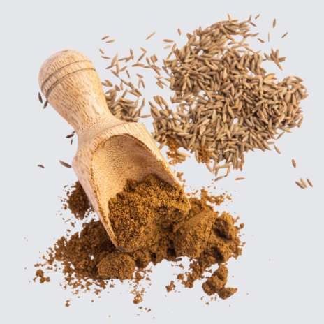 Grid Images/performancefoodservice-Magellan_Seasoning-Cumin