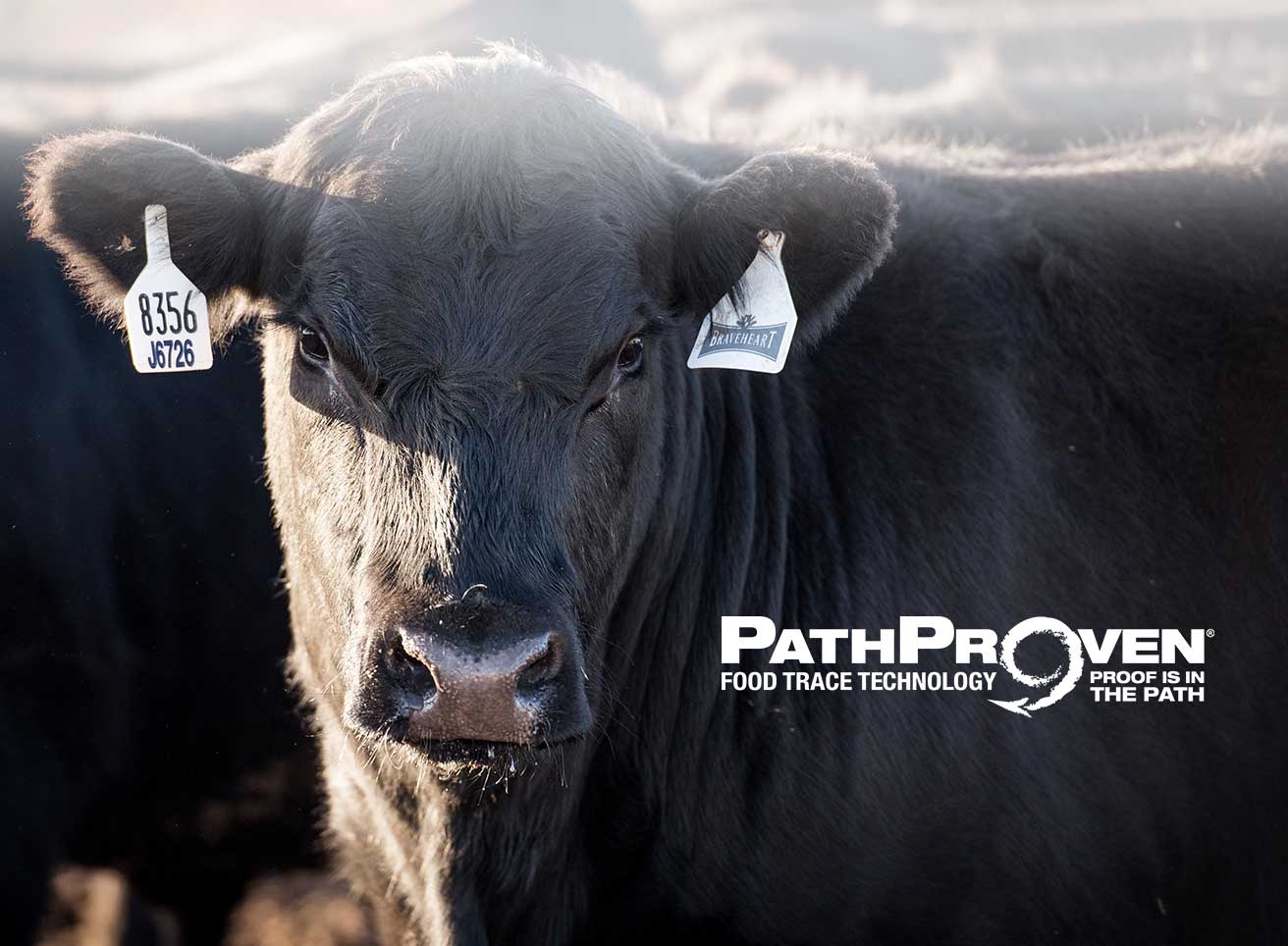 Hero - Half Width/performancefoodservice-ExploreProductsandServices-foodresponsibility-PathProven_heroHalf