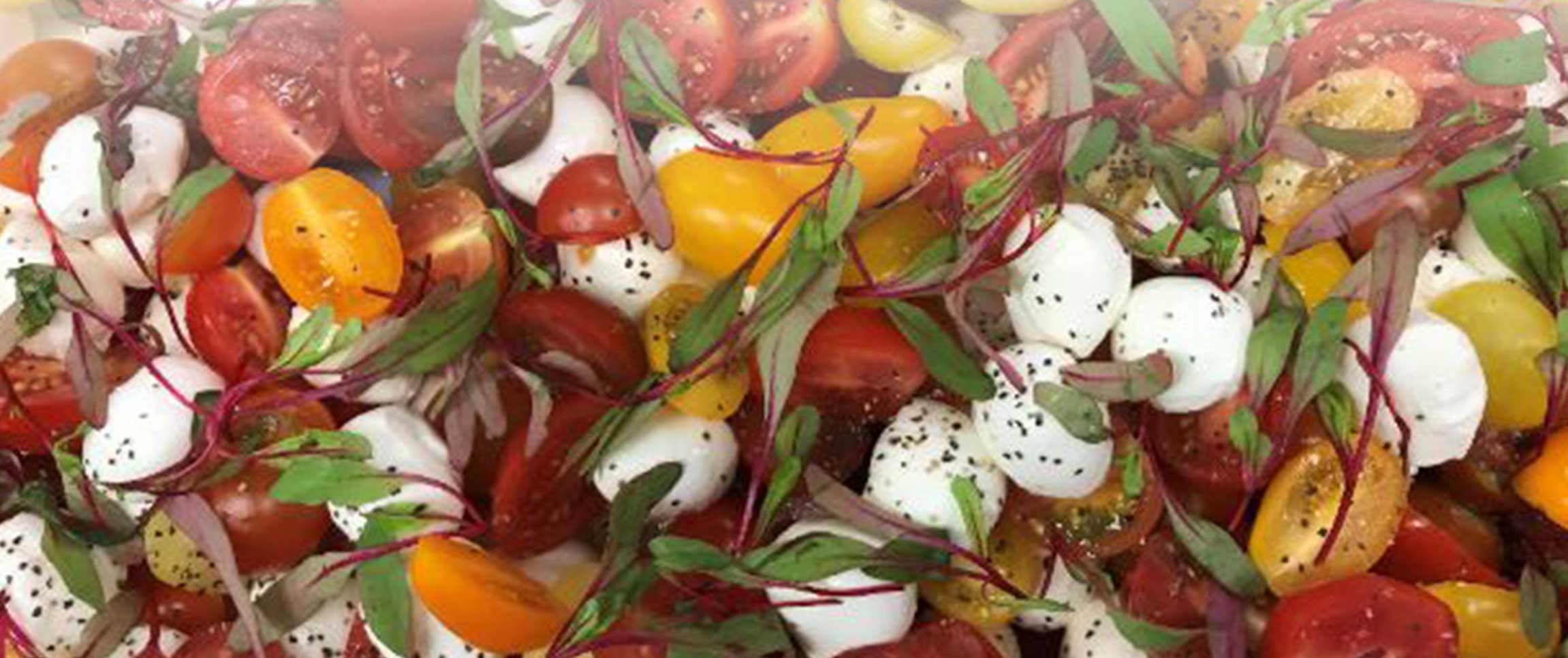 Hero - Full Width/Performancefoodservice-Recipes-CiliegineMozzarellaandBabyHeirloomTomatoSalad