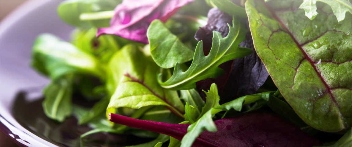 Hero - Full Width/performancefoodservice-Recipes-MED_HERB_SALAD-heroFull