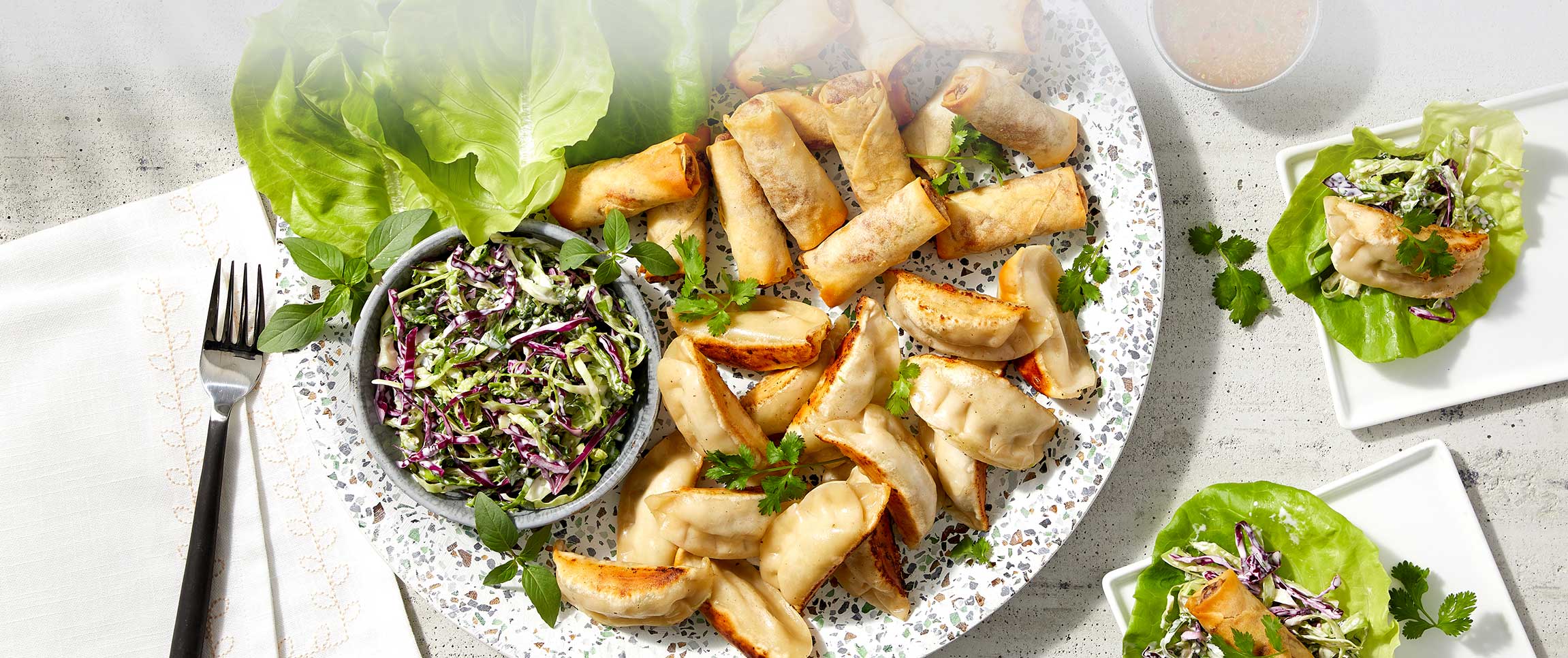 Hero - Full Width/performancefoodservice-DishRecipes-SpringRollsPotStickers-HeroFull