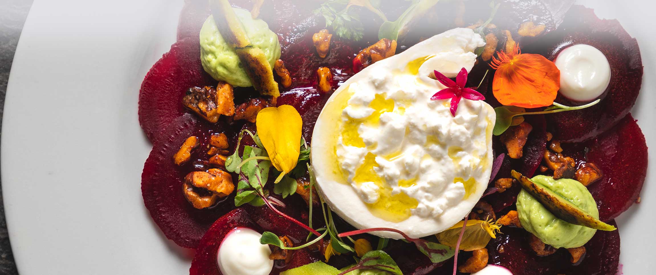 Hero - Full Width/performancefoodserviceRecipeBurrataBeetSaladHeroFull