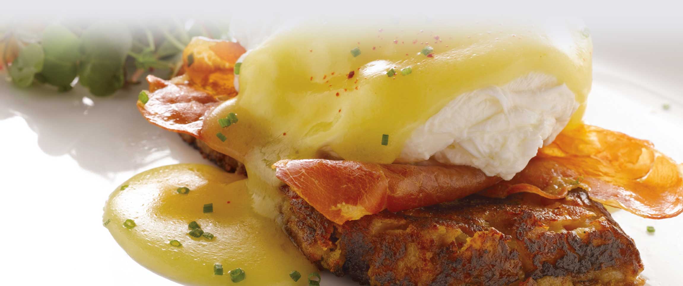 Hero - Full Width/performancefoodservice-recipes-EggsBenedictWCornedBeefHash-herofull