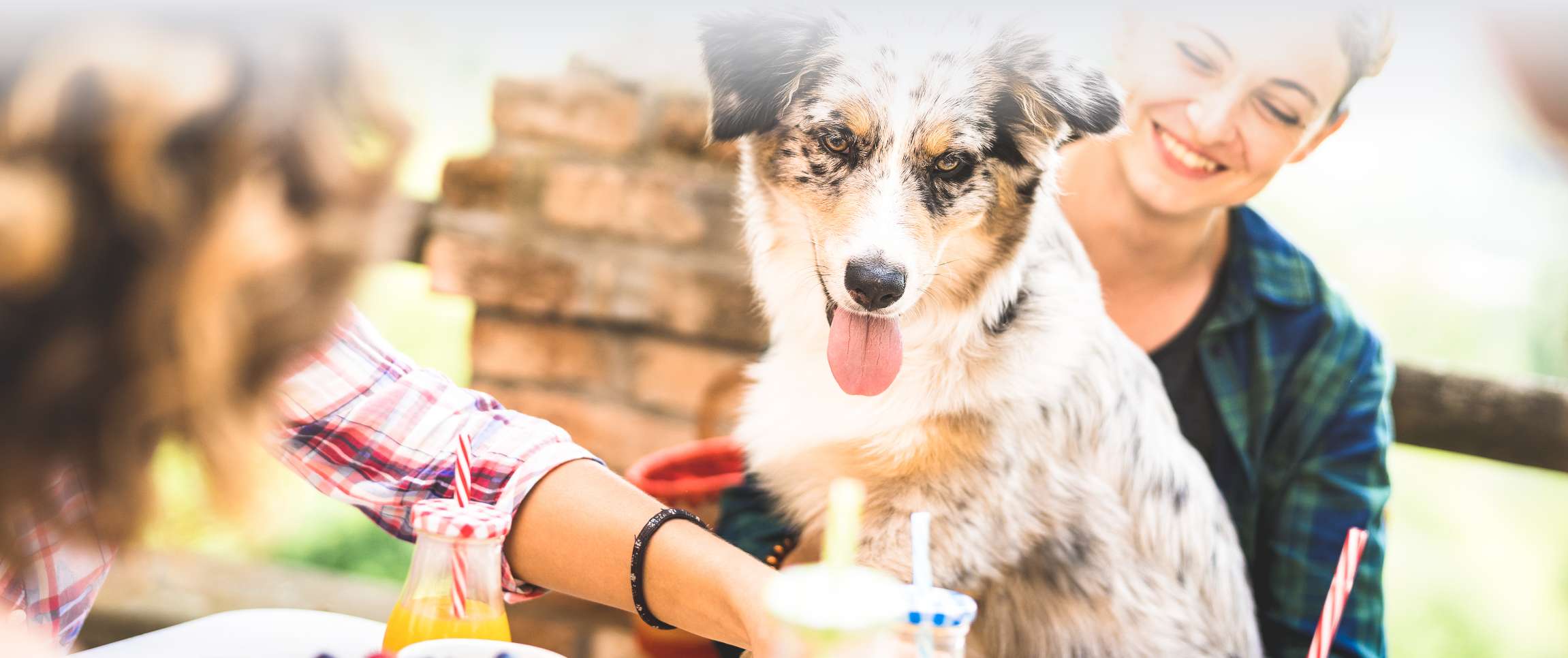 Articles/performancefoodservice-GetInspired-Pawsome_Patios-heroFull
