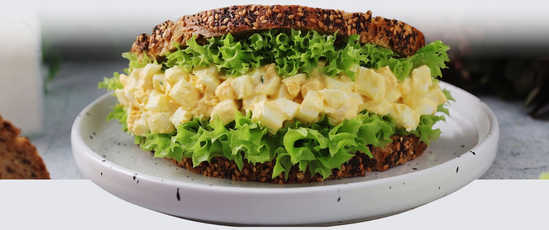 performancefoodservice-NIS-Duck_Deli_Mayo-HeroFull.jpg