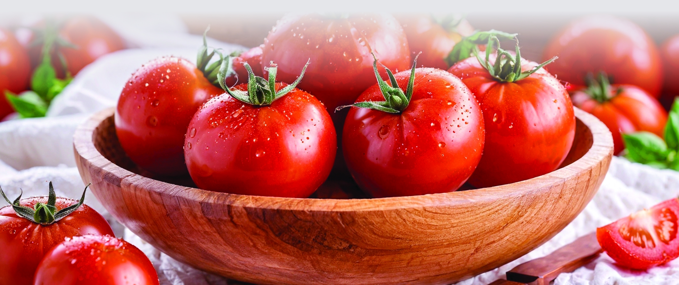 Articles/Performancefoodservice-GetInspired-Talkin_Tomatoes-herofull