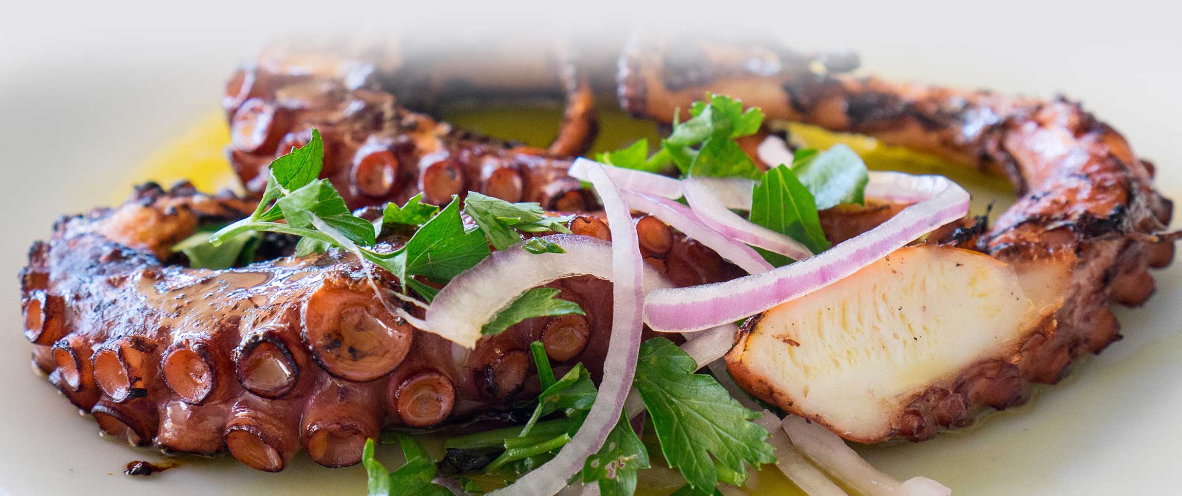 Hero - Full Width/performancefoodservice-recipes-ChargrilledOctopus-herofull