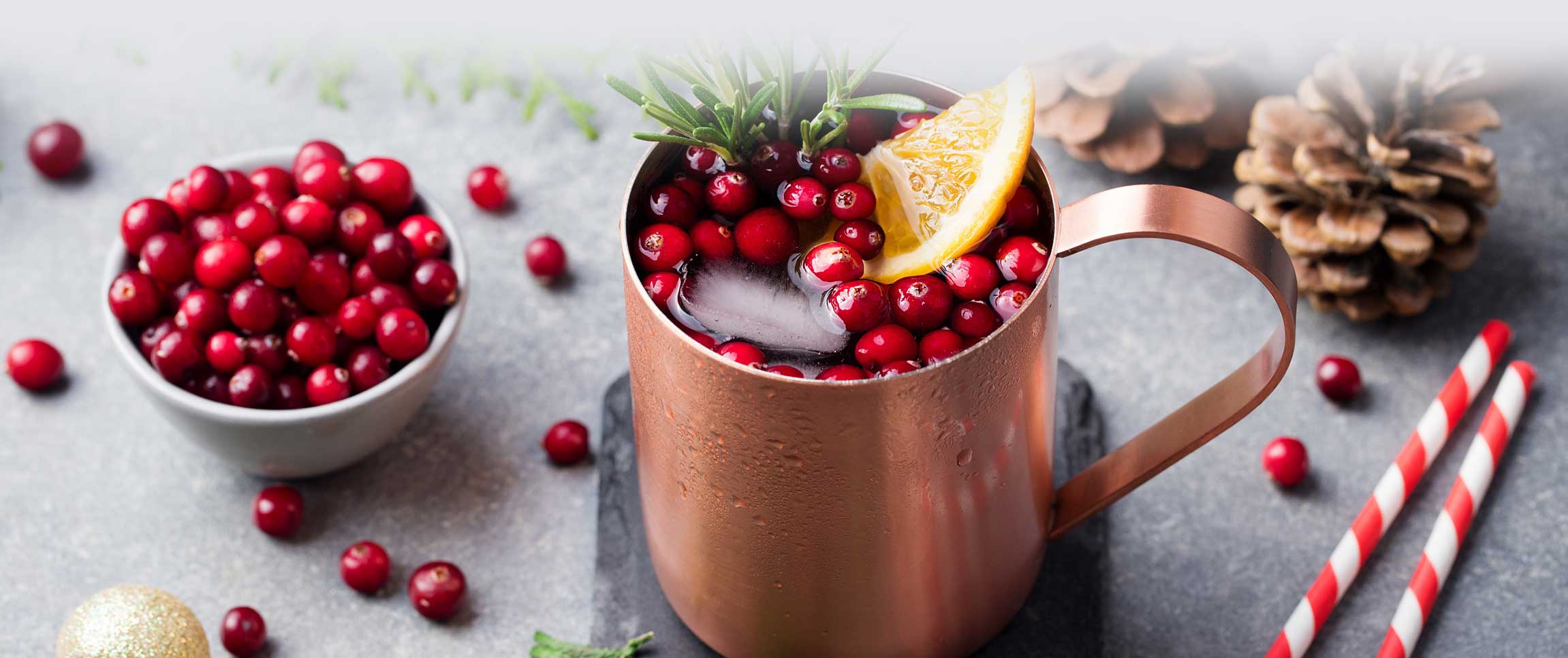 Hero - Full Width/performancefoodservice-recipes-OrangeCranberryMoscowMule-herofull