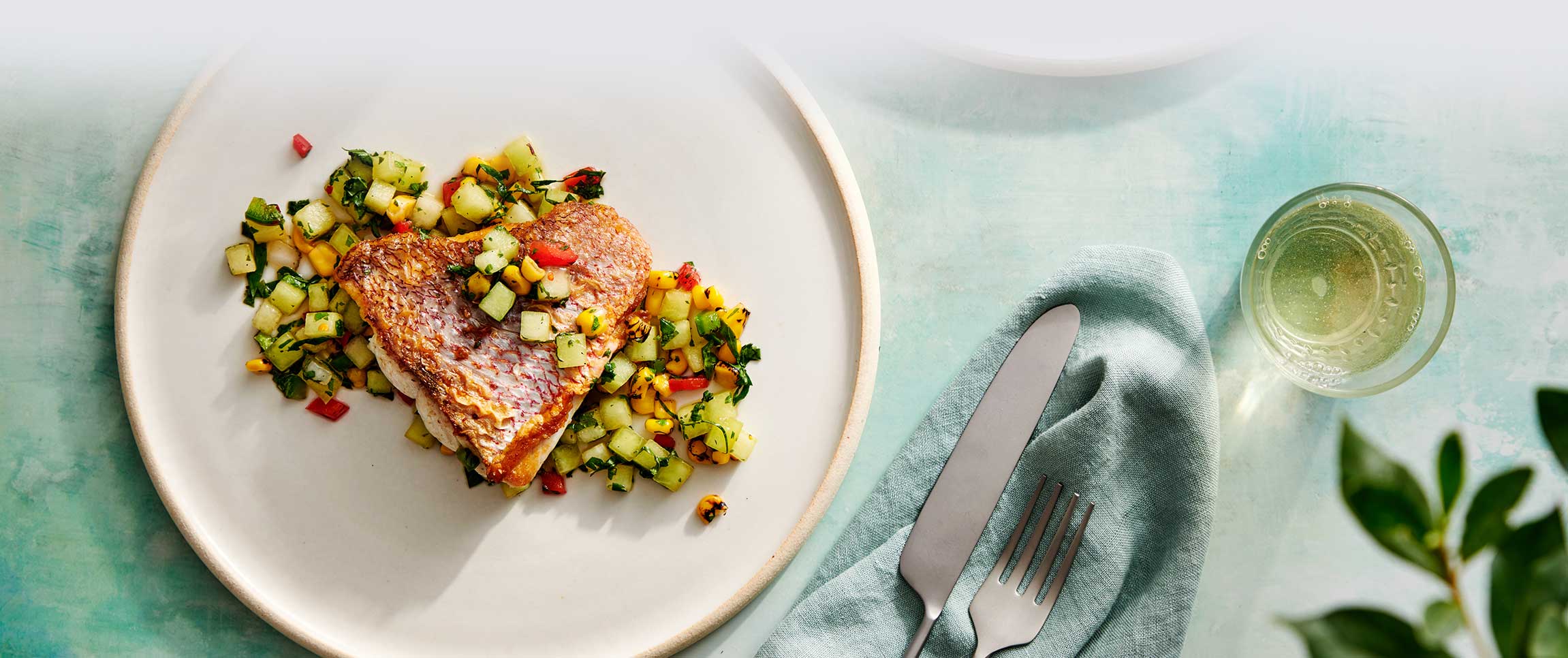 Hero - Full Width/performancefoodservice-DISHRecipes-RedSnapper-herofull