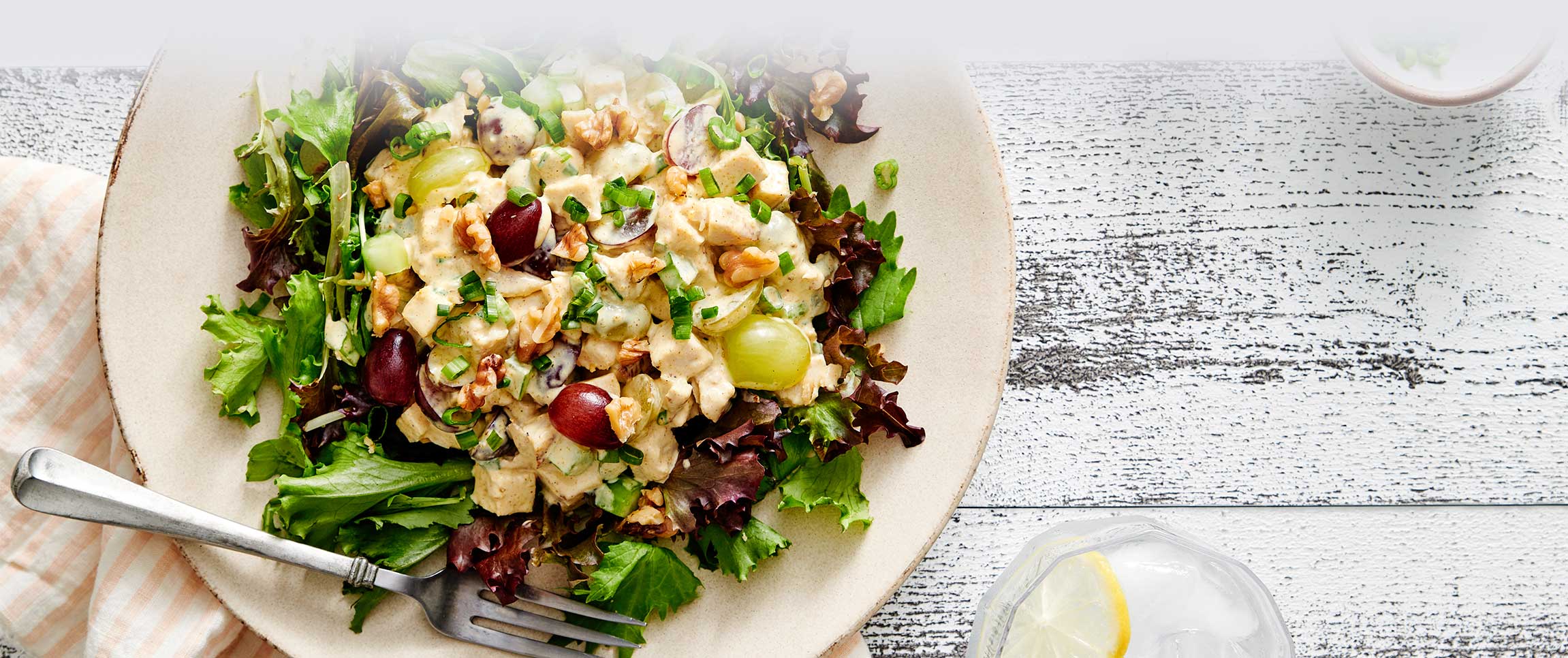 Hero - Full Width/Performancefoodservice-DISHRecipes-ChickenSalad-HeroFull