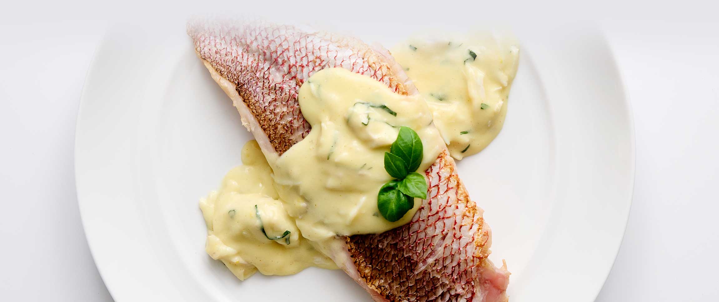 Hero - Full Width/performancefoodservice-DISHRecipes-SnapperWithCrabHollandaise-herofull