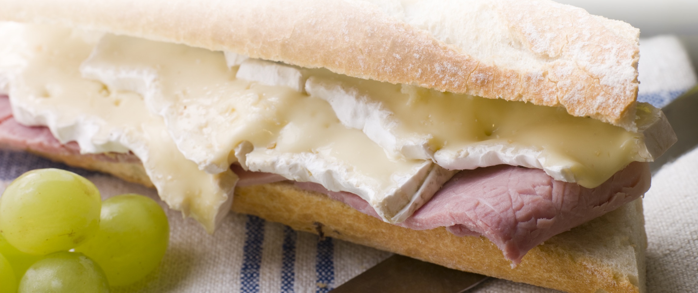 Hero - Full Width/performancefoodservice-recipes-smoked-ham-brie-baguette_heroFull