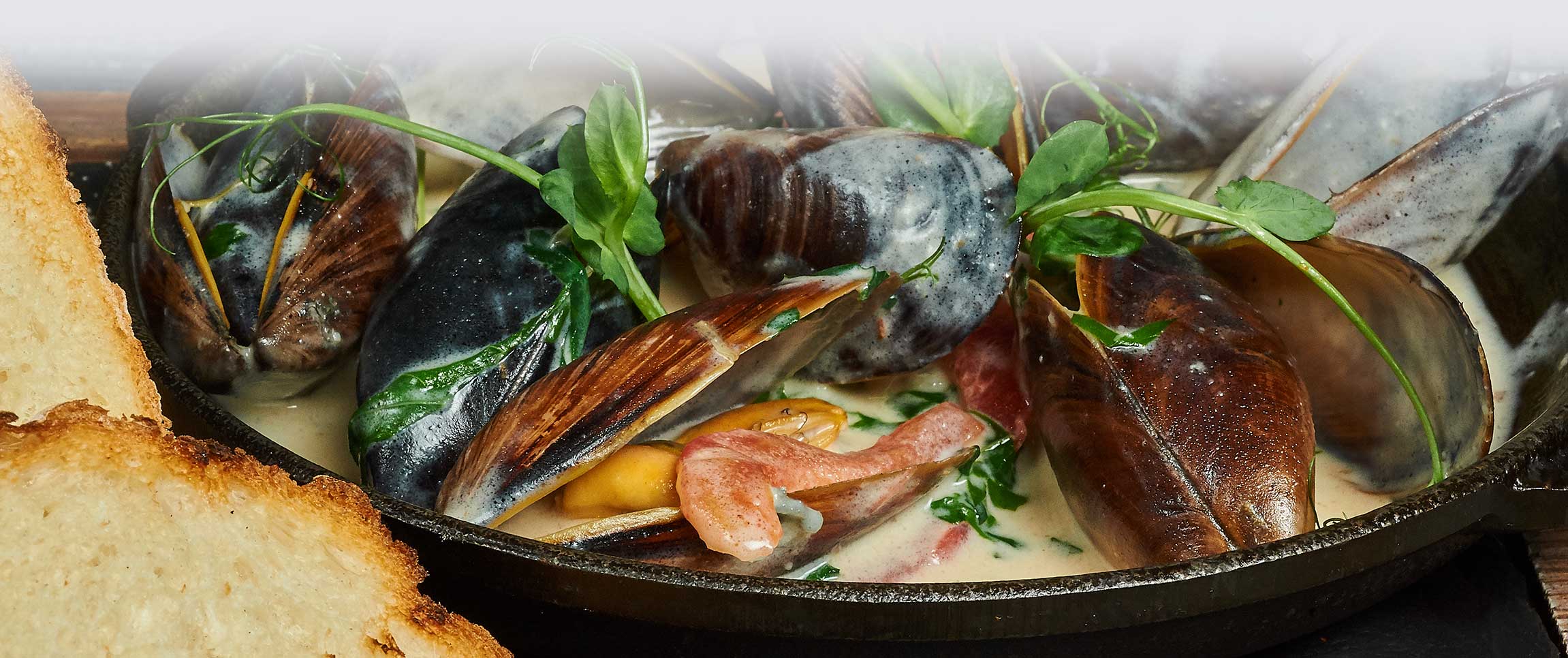 Hero - Full Width/performancefoodservice-SteamedMussles-herofull