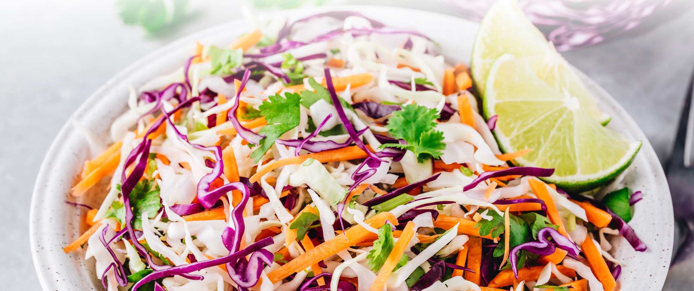 Hero - Full Width/performancefoodservice-recipes-cilantro-lime-cabbage-slaw_heroFull